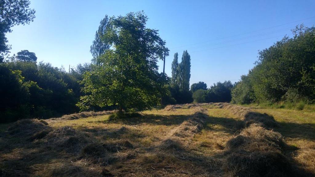 L'Angeberdiere Saint-Mars-sur-la-Futaie Exterior photo